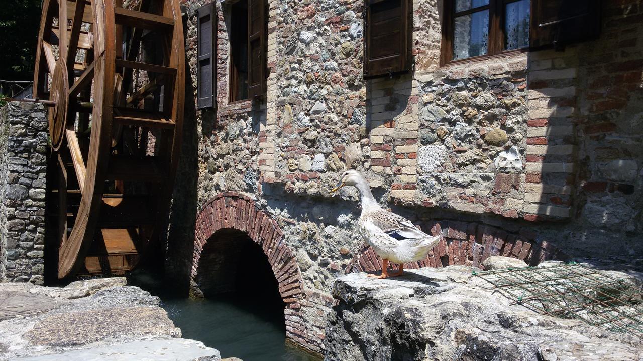 Agriturismo Il Mulino Delle Pile Chiusdino Exteriér fotografie
