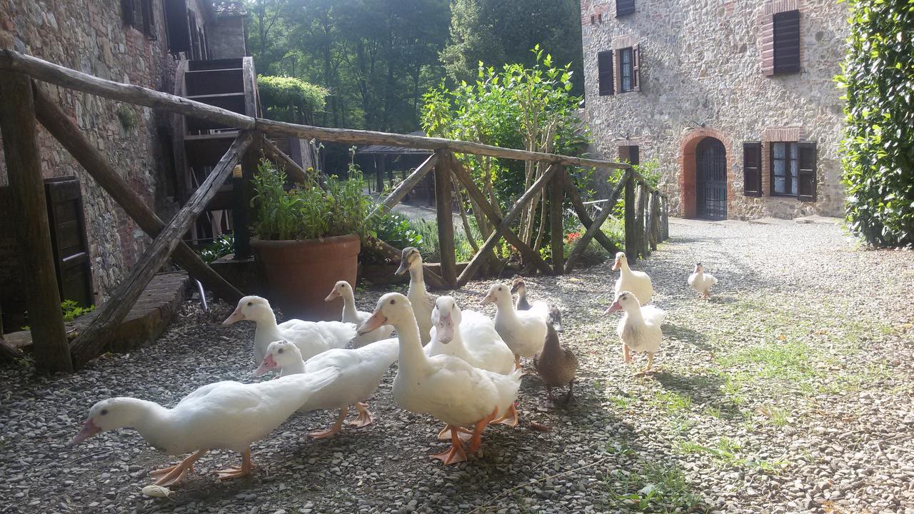 Agriturismo Il Mulino Delle Pile Chiusdino Exteriér fotografie