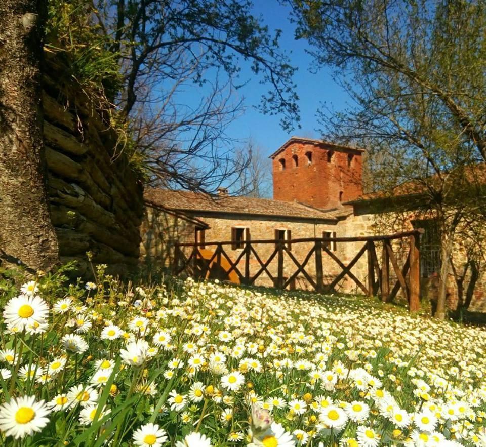 Agriturismo Il Mulino Delle Pile Chiusdino Exteriér fotografie