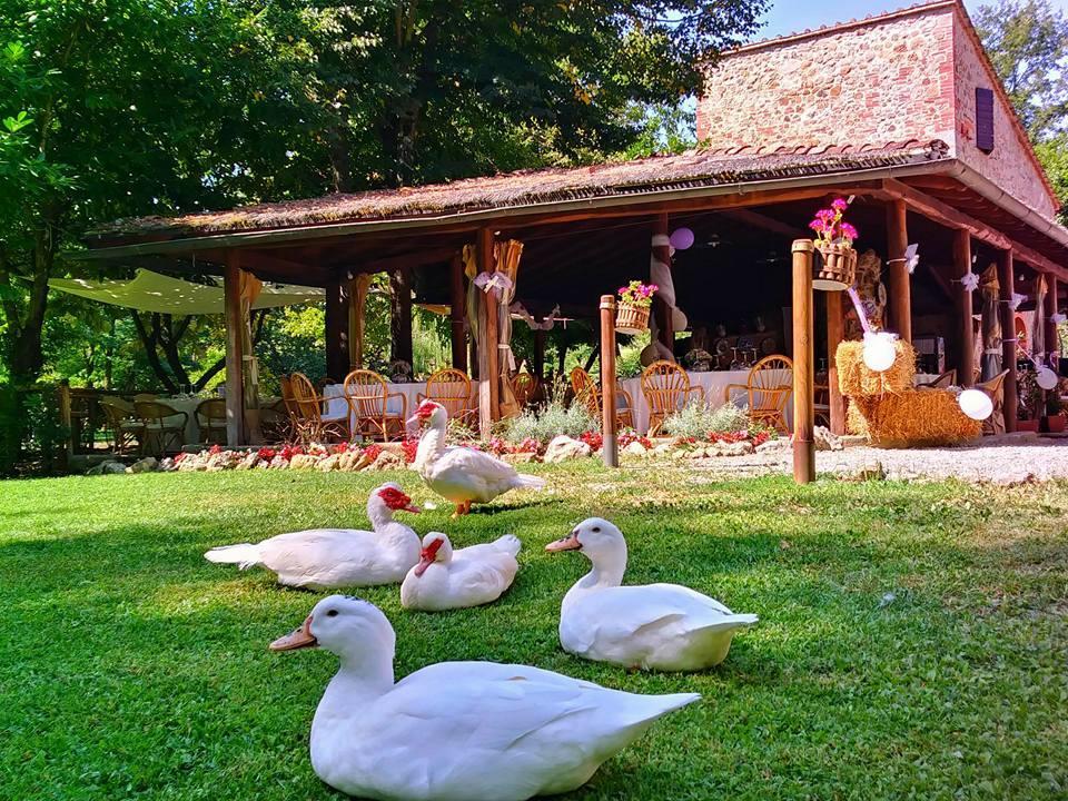 Agriturismo Il Mulino Delle Pile Chiusdino Exteriér fotografie