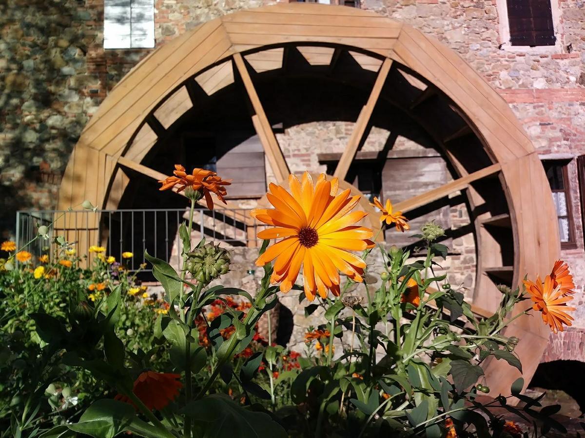 Agriturismo Il Mulino Delle Pile Chiusdino Exteriér fotografie