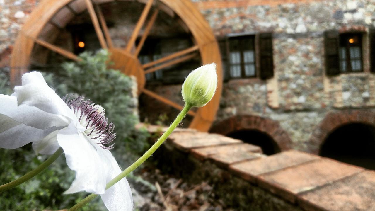 Agriturismo Il Mulino Delle Pile Chiusdino Exteriér fotografie